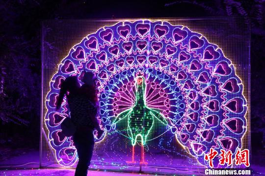 圖為市民在“孔雀開屏”的燈光造型前駐足觀賞?！∴嵄z