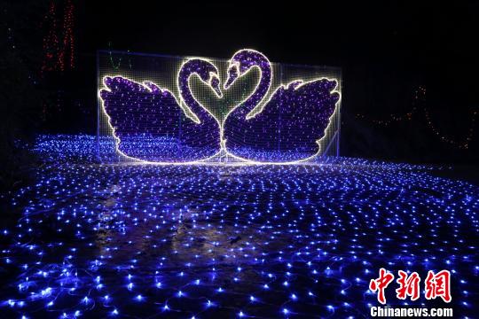 圖為燈光造型?！∴嵄z